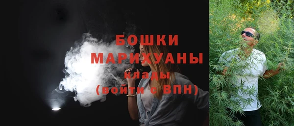 гидра Арсеньев