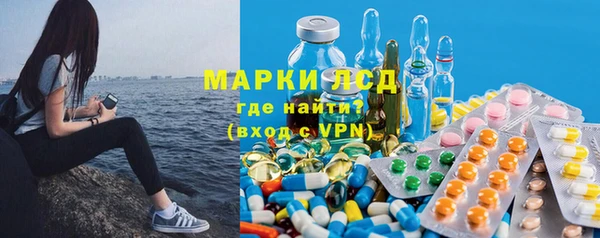 гидра Арсеньев