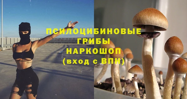гидра Арсеньев