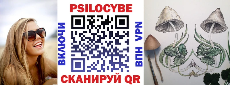 гидра зеркало  Таштагол  Псилоцибиновые грибы ЛСД 